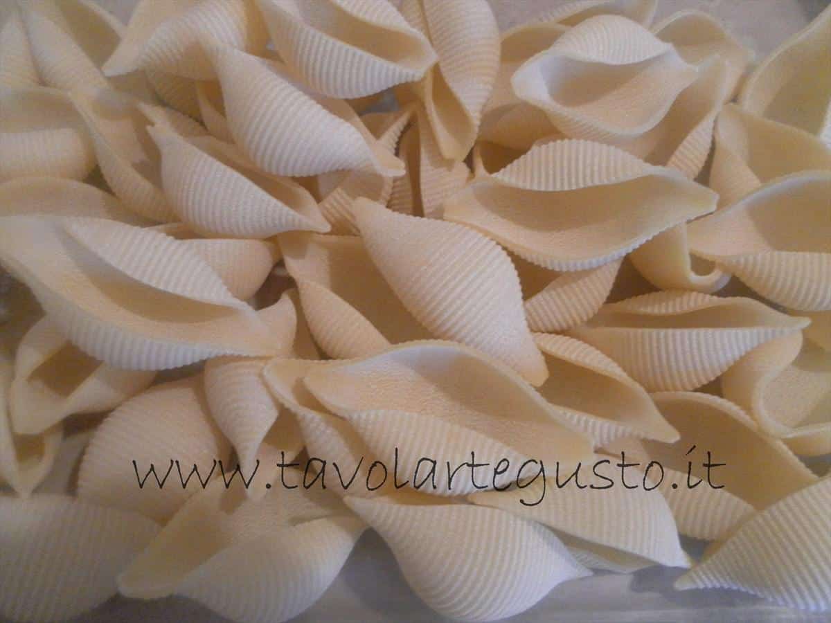 conchiglioni ripieni come fare i conchiglioni ripieni di melanzane e mozzarella 10