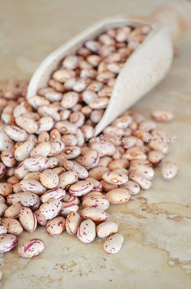 Fagioli Borlotti - Ricetta Insalata di Borlotti con zucchine e nocciole Fagioli Borlotti - Ricetta Insalata di Borlotti con zucchine e nocciole