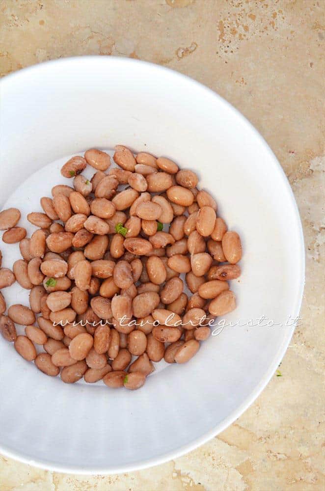 Fagioli borlotti lessati e conditi - Ricetta Insalata di Borlotti con zucchine e nocciole Fagioli borlotti lessati e conditi - Ricetta Insalata di Borlotti con zucchine e nocciole