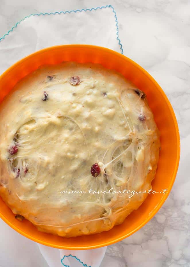 Impasto dopo un breve riposo pronto alla lievitazione in frigo - Ricetta Stollen -Cristmas Stollen Impasto dopo un breve riposo pronto alla lievitazione in frigo - Ricetta Stollen -Cristmas Stollen