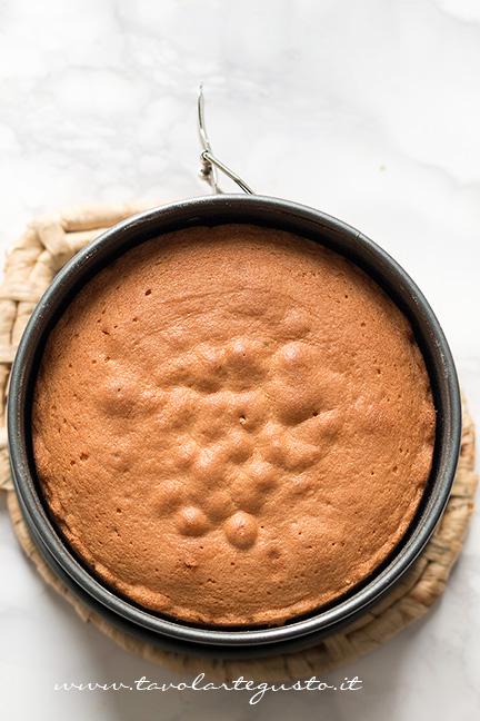 Sponge Cake appena sfornata - Ricetta Sponge Cake