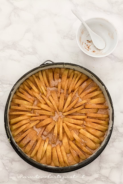Cospargere la superficie con zucchero e cannella- Ricetta Torta di mele soffice