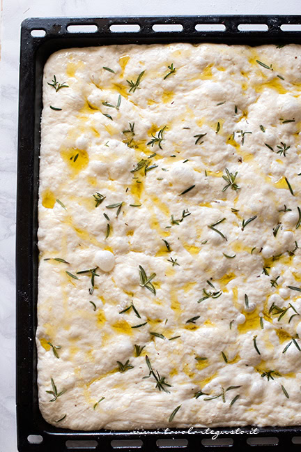 focaccia morbida pronta per essere infornata - Ricetta Focaccia