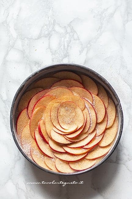 Spolverare con zucchero e cannella - Ricetta Torta di mele vegan