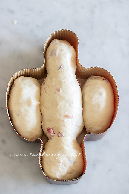 formazione della colomba salata