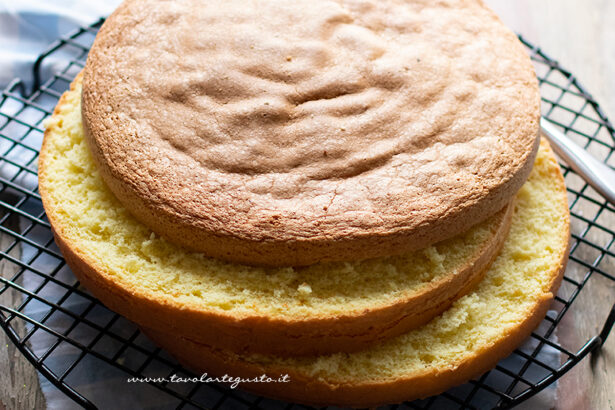 pan di spagna
